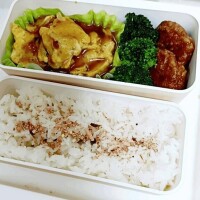 おはようございます?