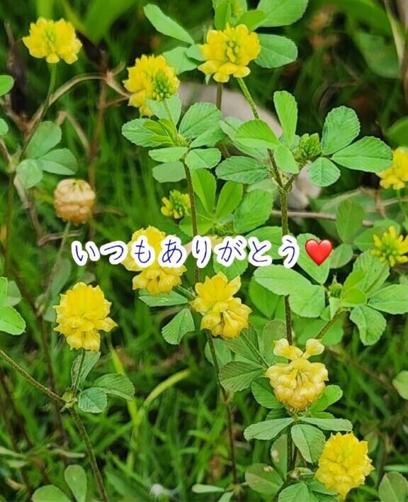 のの〇〇ーお礼日記???