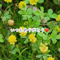 のの〇〇ーお礼日記???