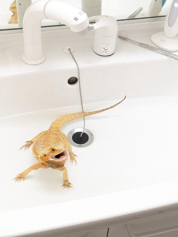 予約状況＆お知らせ