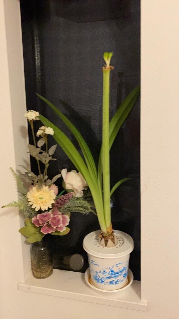 今週も皆様のおかげです?