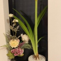 今週も皆様のおかげです?