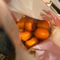 柿の季節ですね?