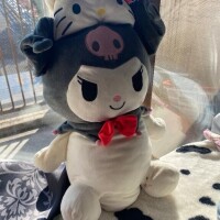 おはようございます?