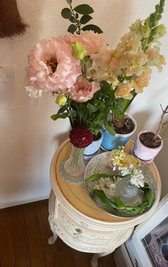 皆様おはようございます?一週間の始まりです?