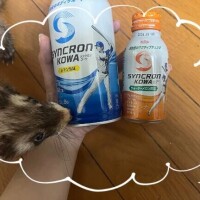 土曜のお礼と明日?