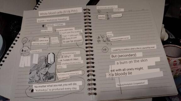 (?｡??????-?)??お番です?