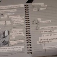 (?｡??????-?)??お番です?