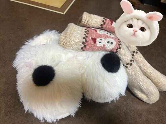 月曜のお礼と明日?