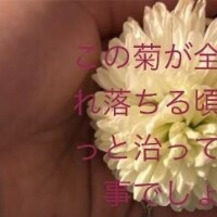 新年、明けましておめでとうございます?