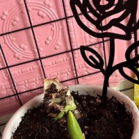 ご無沙汰しております(*´Д｀*)