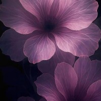 ☆?*:.｡. o(≧?▽?≦?)o .｡.:*☆?