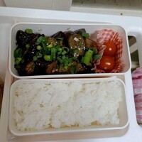 おはようございます??