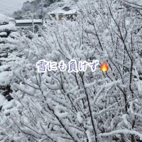 ラスト1枠?空きあります?