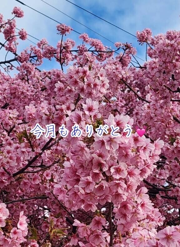 今月もありがとう?おまけ?