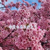 今月もありがとう?おまけ?