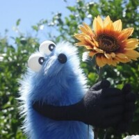 ?6日&7日のお兄さま方へ??