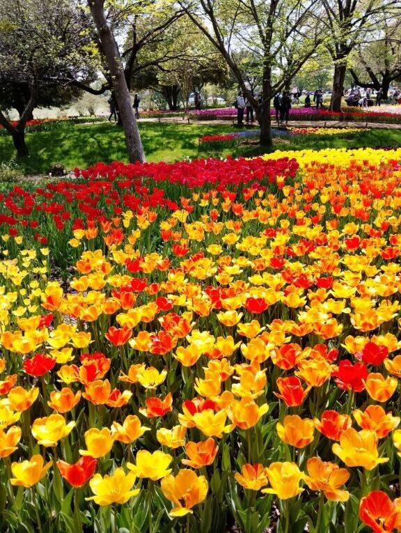 [お題]from:かんさん