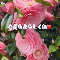 先月もありがとう?今月もよろしくね?