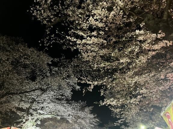 [お題]from:宴会部長さん