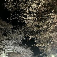 [お題]from:宴会部長さん