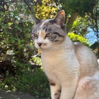 おやすみします??♀?