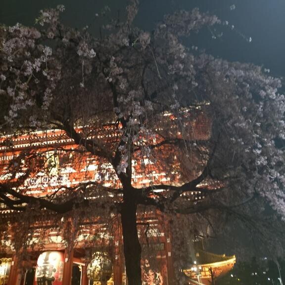 ギリギリ