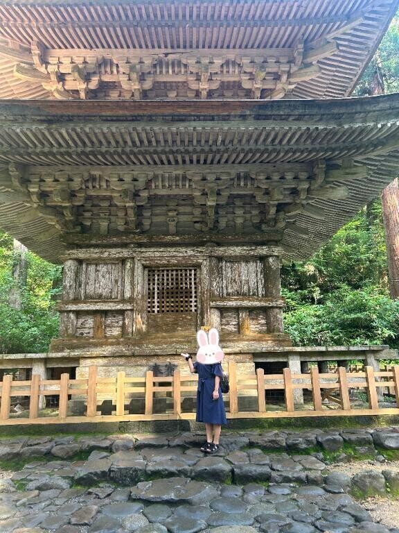 向かってます??