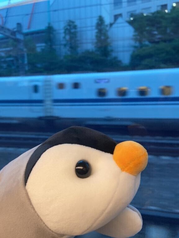 すみません?????????