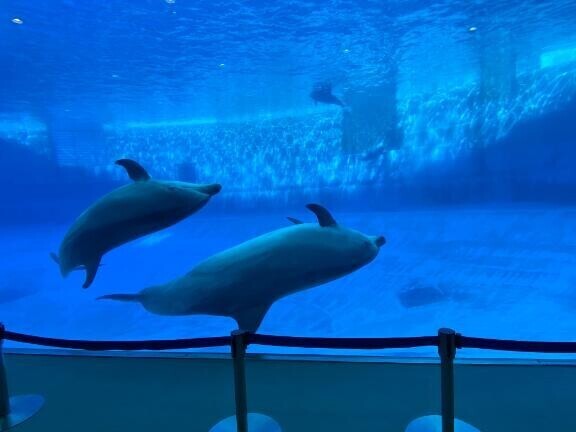 推し活ついでに旅行in名古屋