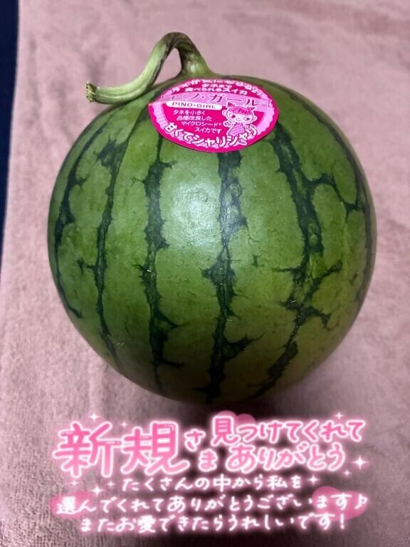 到着?明日はお休みです?