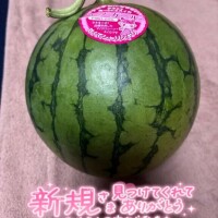 到着?明日はお休みです?