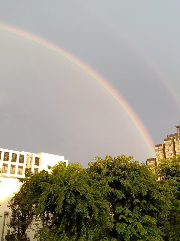 お疲れ様です(*^^*)