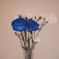お知らせです