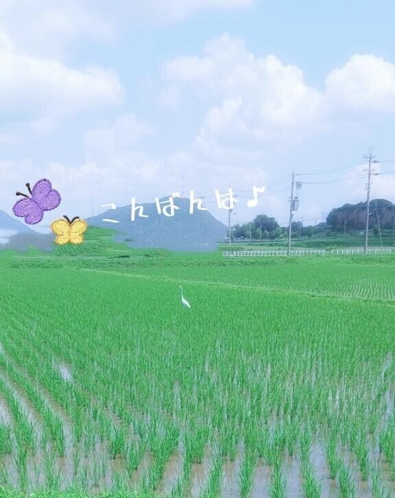 こんばんは?