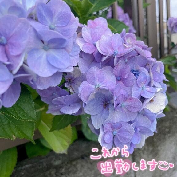 朝って不思議??