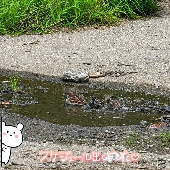 みーっけ！