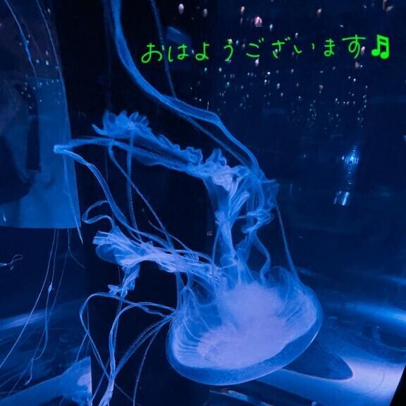 早朝は低速回転?