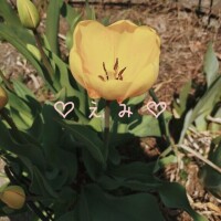 えみ