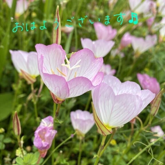 主人公は…