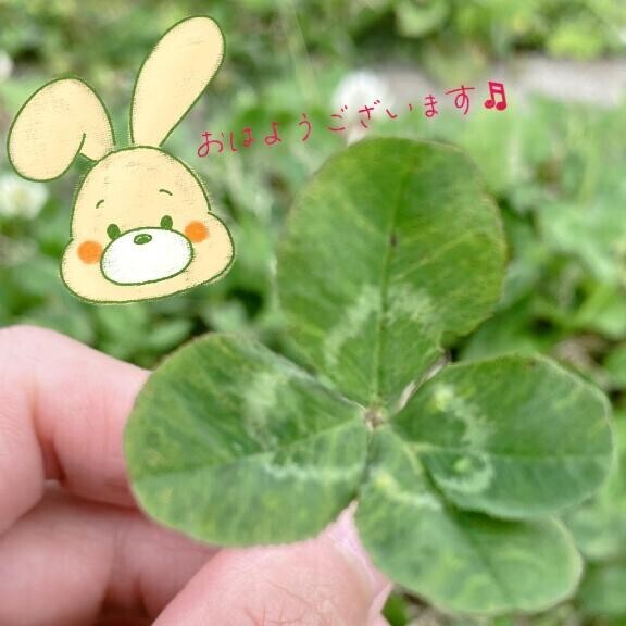 出勤しました！