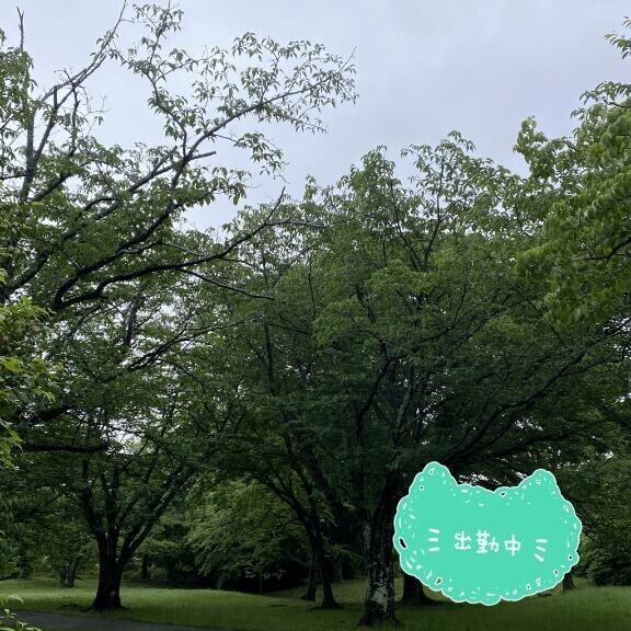めざすは回復、向上