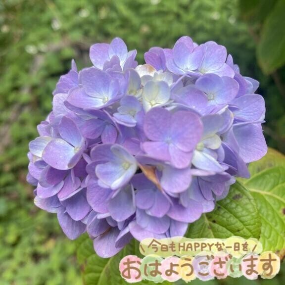 今夜はのむぞー！