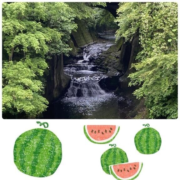 先取り(^-^)v