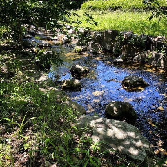 最近できるようになったこと?