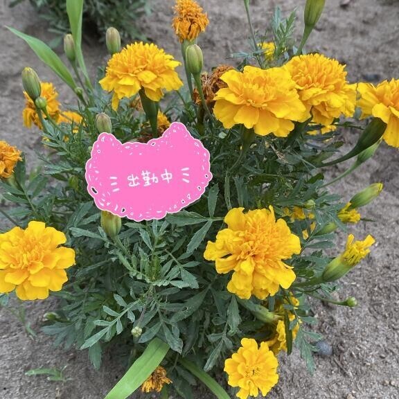 喜ぶのは…？