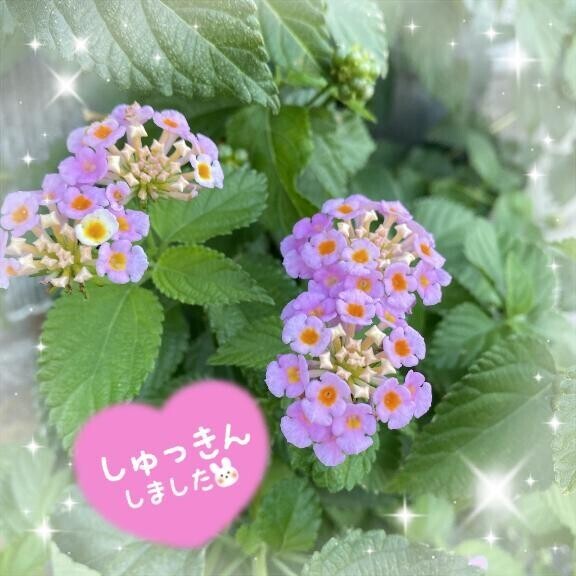 今日も元気に！