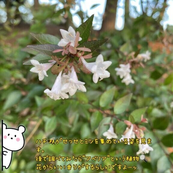 ♯され夏