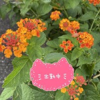くみこ