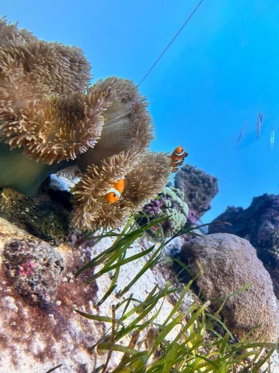 初めまして！??